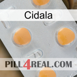 Cidala 24
